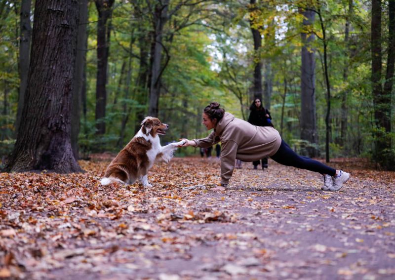 Fit mit Hund