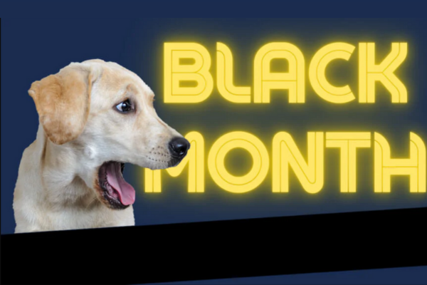 Bis zu 50% sparen! Der Black Month bei Dr.Clauder´s