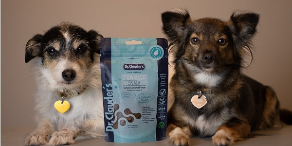 Trainee Snack Cultivated Protein – Die Zukunft für Hunde- & Katzensnacks