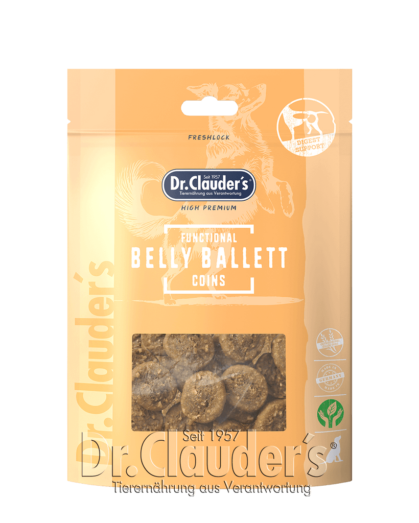 Functional Coins Belly Ballett 2