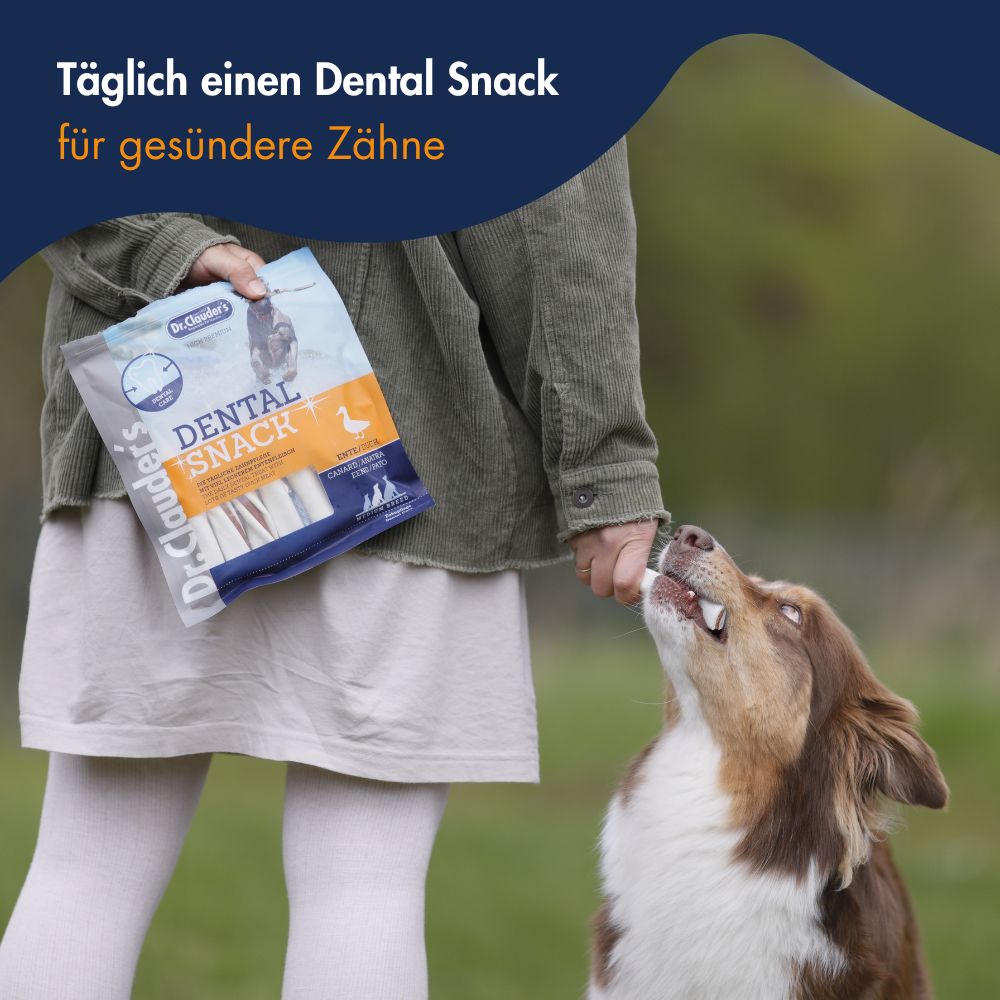 Dr.Clauder´s Dental Snack Ente - Small Breed 9