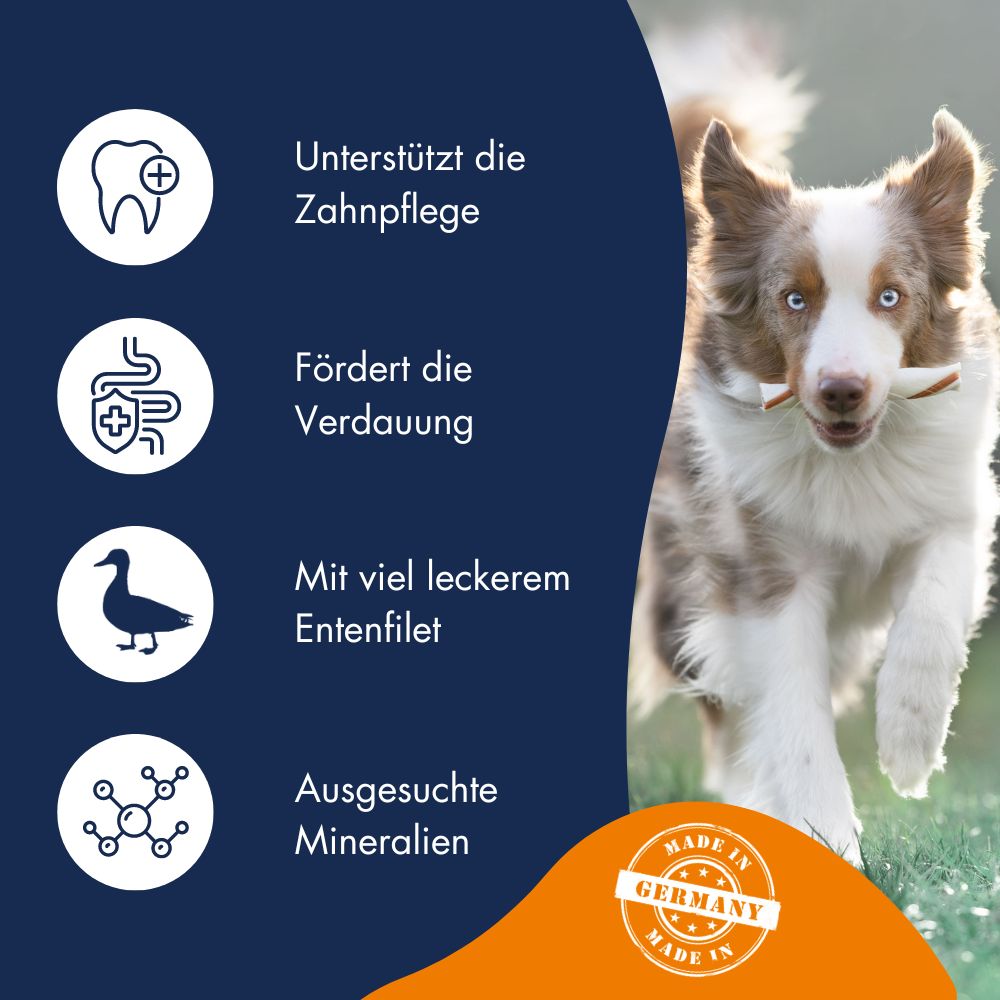 Dr.Clauder´s Dental Snack Ente - Medium Breed 7