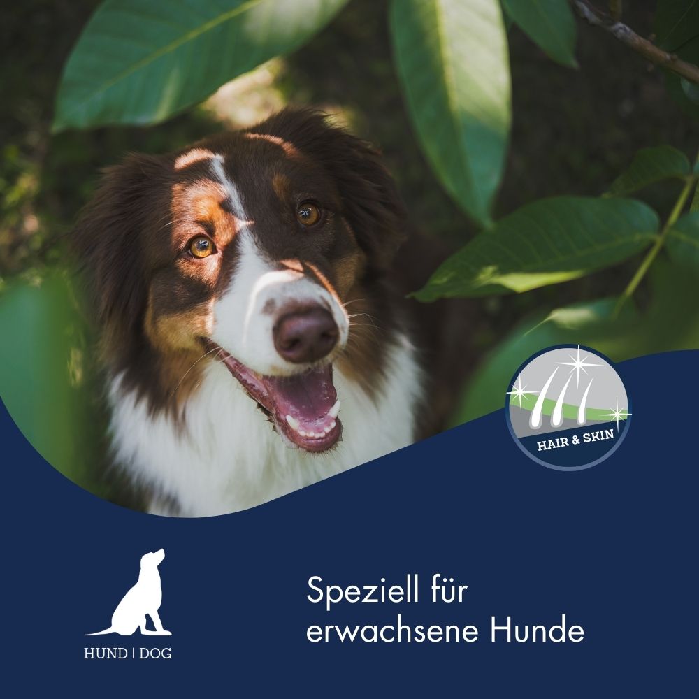 Hair & Skin - Fell Plus Serum für Hunde 5