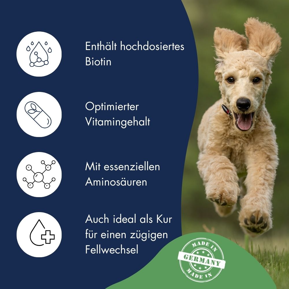 Hair & Skin - Fell Plus Serum für Hunde 7