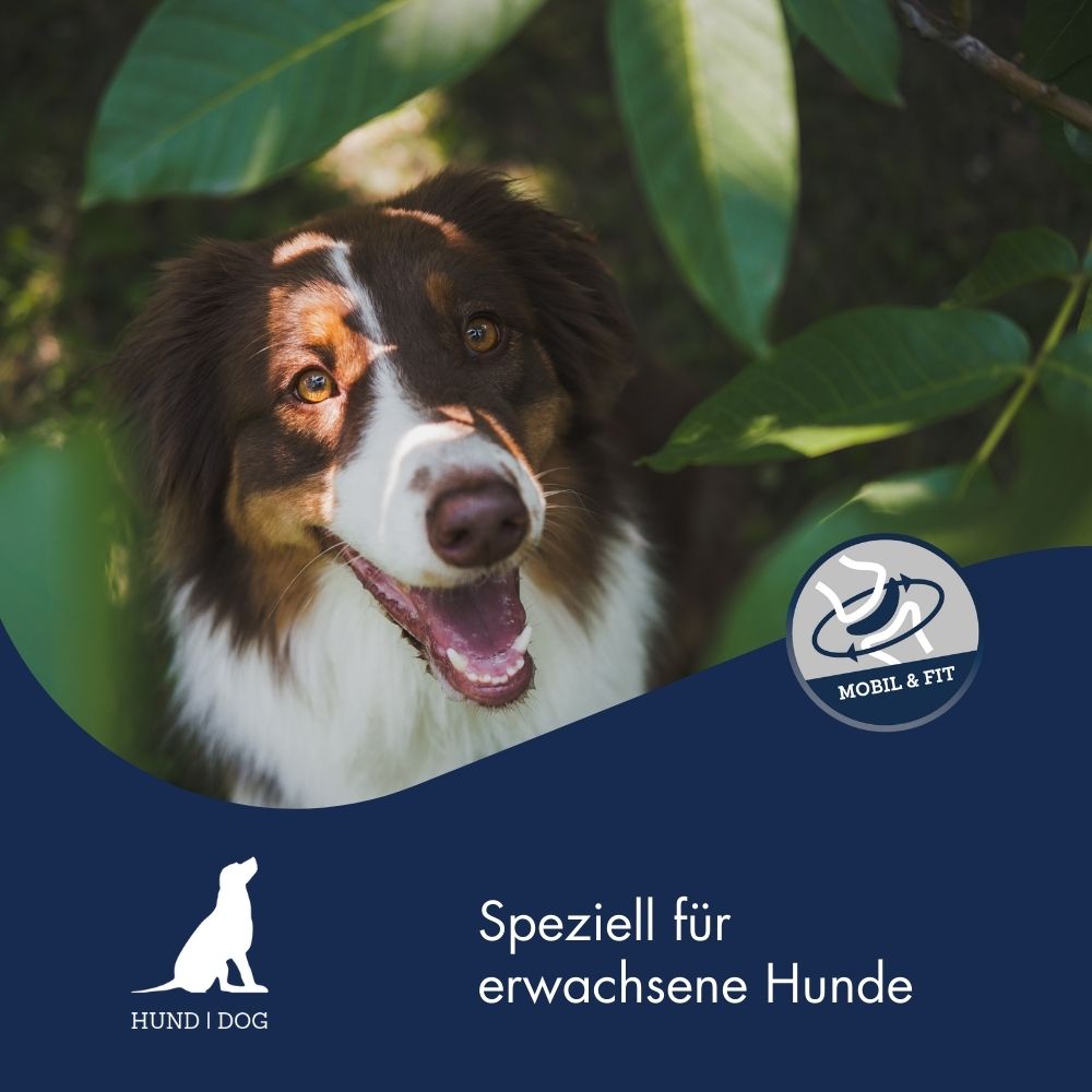 Mobil & Fit - Gelenk Serum für Hunde 5