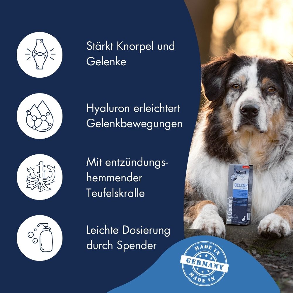 Mobil & Fit - Gelenk Serum für Hunde 7