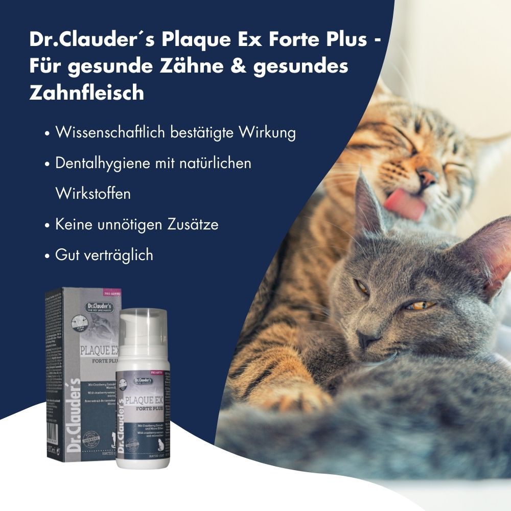 Plaque Ex Forte Plus für Katzen 11