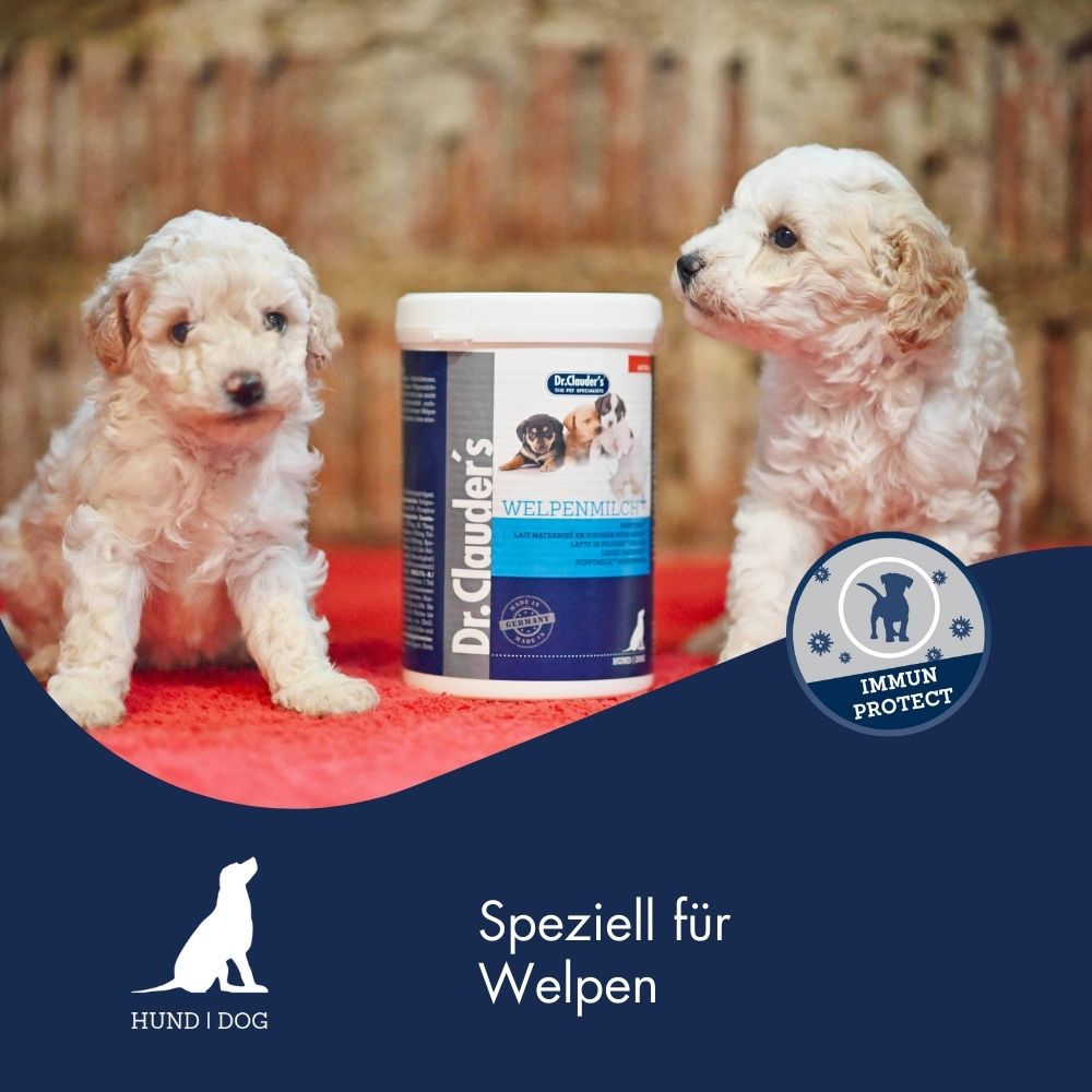 Pro Life - Welpenmilch+ Set 4x100g Beutel + Zubehör 5