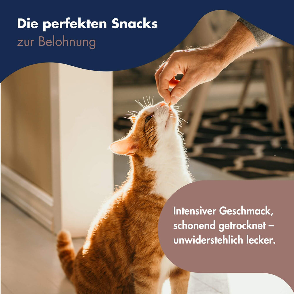 Dr.Clauders Trainee Snack Ziege 9