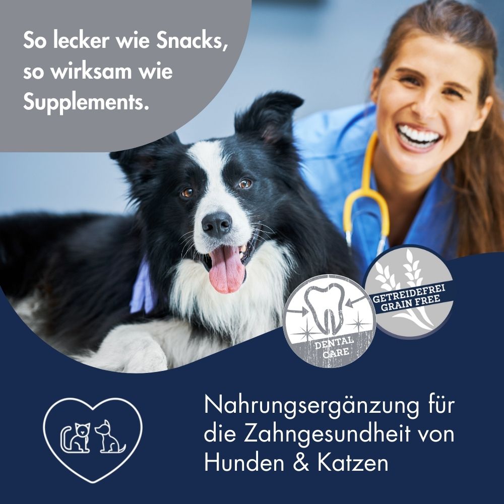 Supplement Snack Dental Care 5